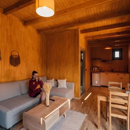 Kurucesme Tiny House * Sapanca