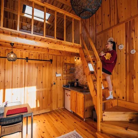 Hébergement de vacances Kurucesme Tiny House