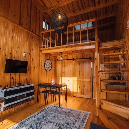 Kurucesme Tiny House Sapanca
