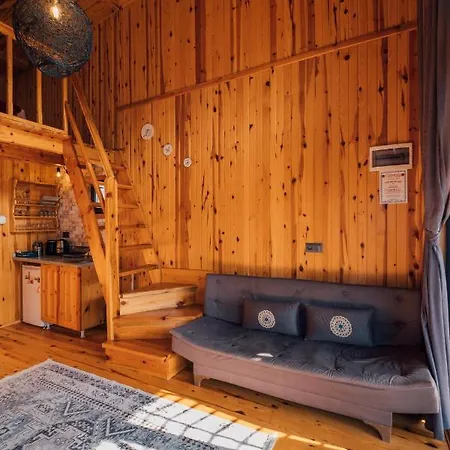 Kurucesme Tiny House Hébergement de vacances